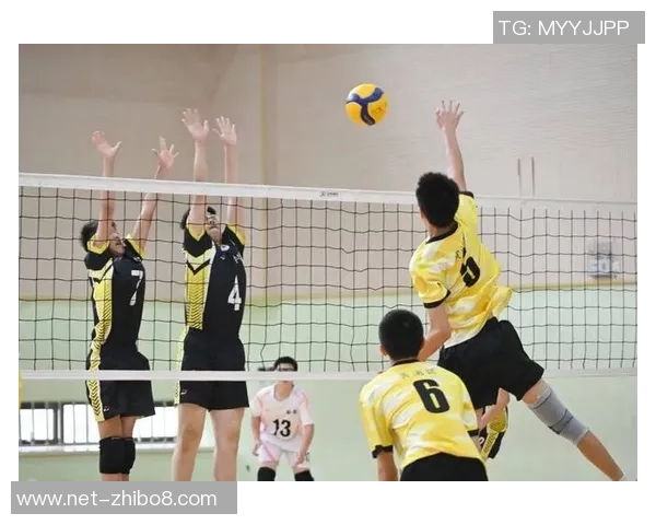 上海排球队在排球比赛中取得新高经验排名引发关注与期待 上海排球队在排球比赛中取得新高经验排名引发关注与期待